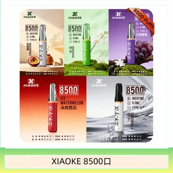 梟客XIAOKE一次性電子菸拋棄式8500口